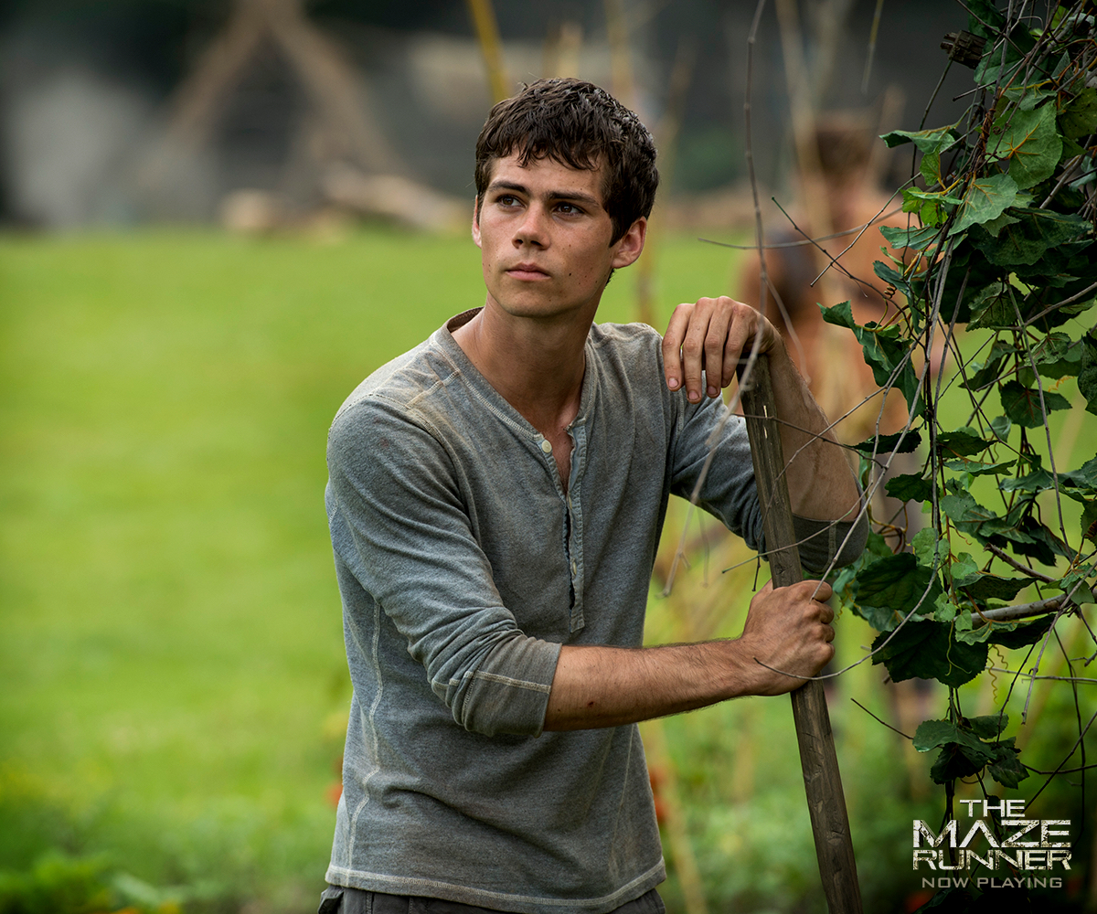 𝐂𝐨𝐧𝐧𝐞𝐜𝐭𝐢𝐨𝐧  The Maze Runner - Thomas - 𝖈𝖍𝖆𝖗𝖑𝖎