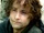 Peregrin "Pippin" Took