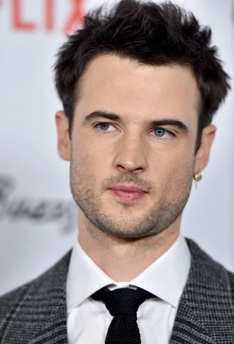 Tom Sturridge | Whumpapedia Wiki | Fandom