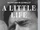 A Little Life