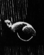 Grimalkin3.jpg (23 KB)