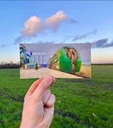 Wicked Film Stills 28.jpg (66 KB)