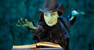 Willemijn Verkaik | WickedWiki | Fandom