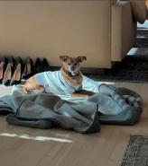 Wicked PartOne BTS278.jpg (143 KB)