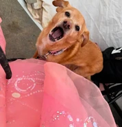 Wicked PartOne BTS305.jpg (123 KB)