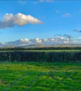 Wicked Film Stills 32.jpg (99 KB)