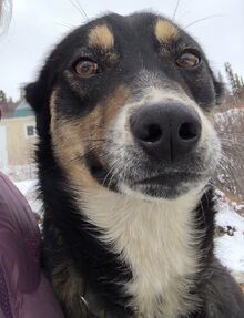 BlairBraverman 2019-Apr-19.jpg