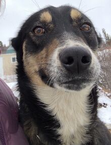 BlairBraverman 2019-Apr-19