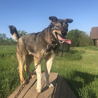 BlairBraverman 2019-Jun-06