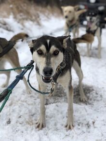 Lucy-0.jpg