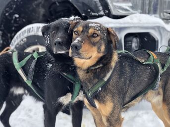 BlairBraverman 2020-Feb-09.jpg