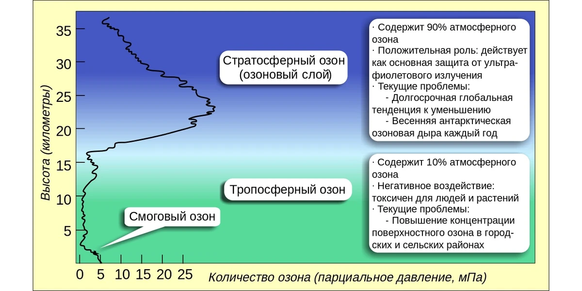 Атмосферный приземный слой. Приземный слой атмосферы. Концентрация озона в озоновом слое. Приземный слой воздуха. Атмосферный приземный слой.