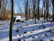 Hole 20180225 151135.jpg