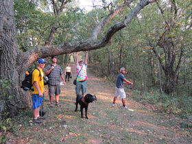 Brad holding up a tree branch for Jimi