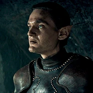 TW1 Chireadan.jpg (111 KB) Chireadan w serialu Wiedźmin (2019)