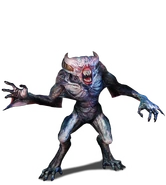 W3 SS Fleder.png (370 KB) Fleder