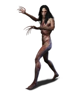 W3 SS Bruxa.png (238 KB) Bruxa