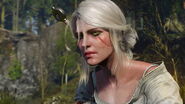 W3 CA Ciri 4