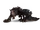 Kuroliszek