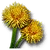 W3 SS Dmuchawiec