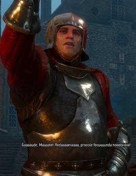 W3 SS Vaclav