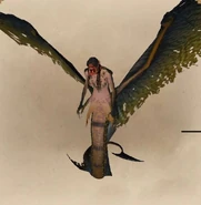 Model morszczynki w grze Wiedźmin: Pogromca Potworów