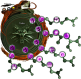 W1 SS Yrden rozwój.png