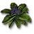 W3 SS Siężygron
