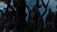 W3 SS Geralt i mieszkańcy Ferlund