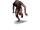 Zgnilec