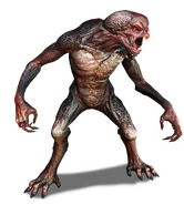 W3 SS Garkain.png (515 KB) Garkain