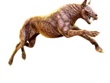 Barghest