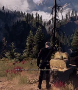 W3 SS Grób Leo.png (1,65 MB) Cenotaf Leo w Dolinie Kaer Morhen