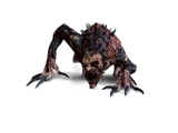 Alghul