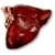 W3 SS Wątroba wilka