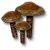 W3 SS Purchawka