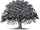 Bleobheris