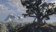 Gaj Gedyneith
