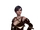 Fringilla Vigo