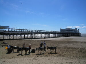 WestonPier