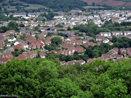 Honiton | Wielka Brytania | Fandom