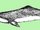 Delfin Chiński