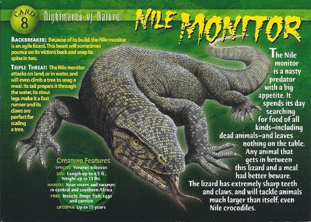 Nile Monitor front