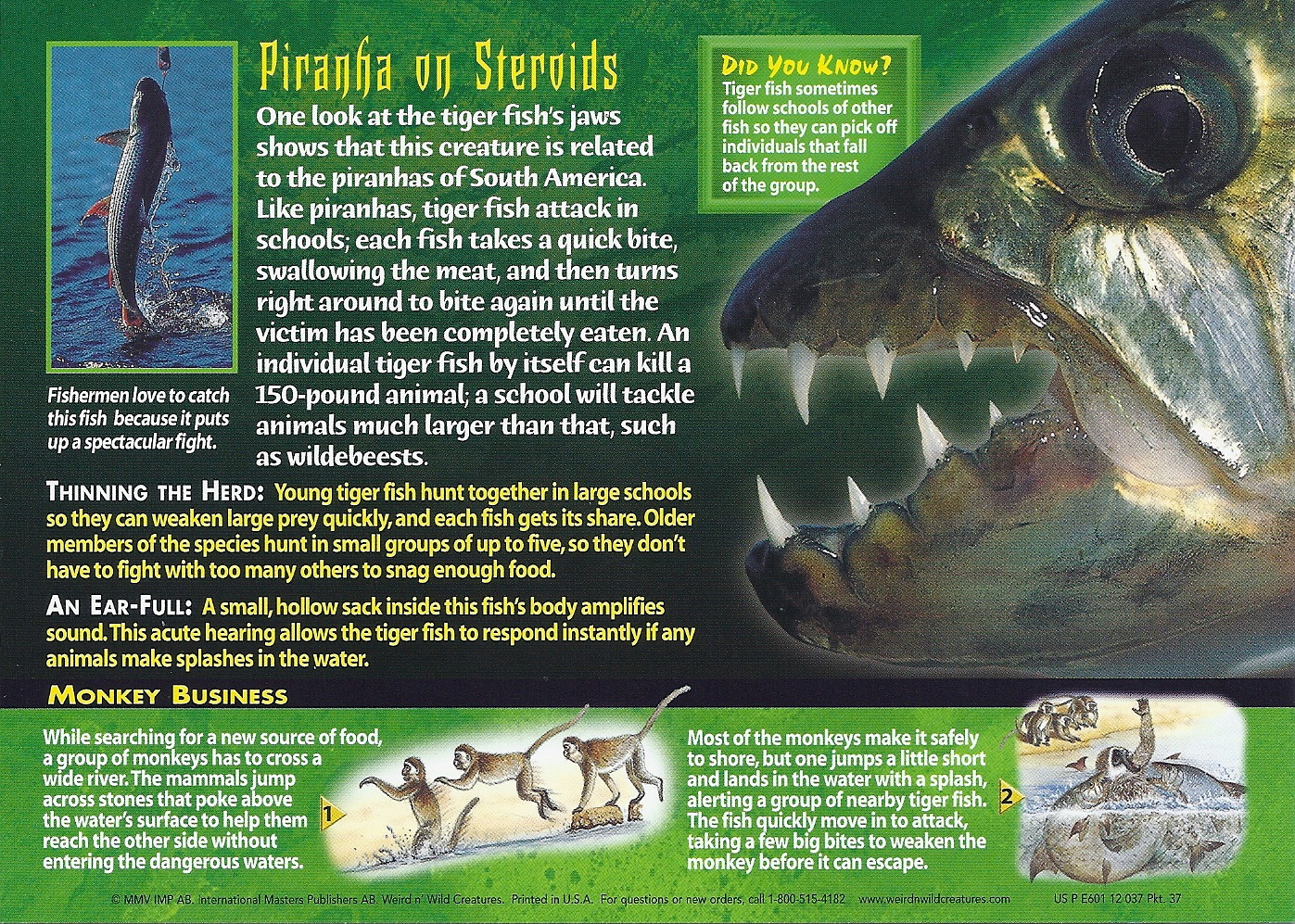 Tiger Fish, Weird n' Wild Creatures Wiki