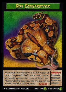 洋書　The Complete Boa Constrictor ボア The More Complete Boa Constrictor: Vincent Russo