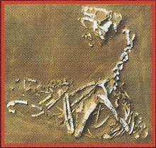 Oviraptor Back Image