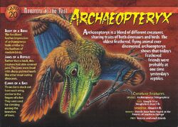 Archaeopteryx | Weird n' Wild Creatures Wiki | Fandom Archaeopteryx | Weird n' Wild Creatures Wiki | Fandom