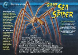 Giant Sea Spider front