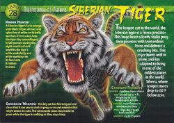 Bengal Tiger, Weird n' Wild Creatures Wiki