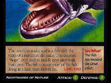 Northern Snakehead